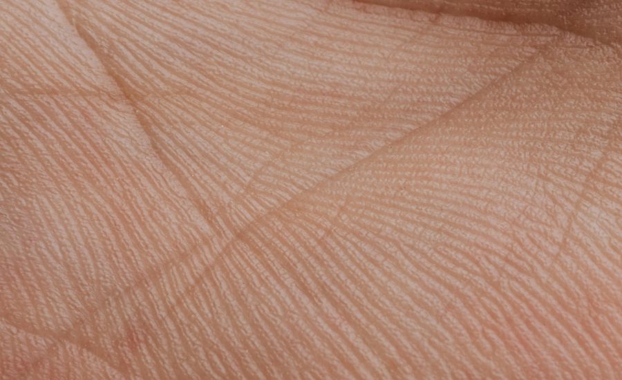 Biometric Technology and Business Security: Safeguarding Sensitive Data