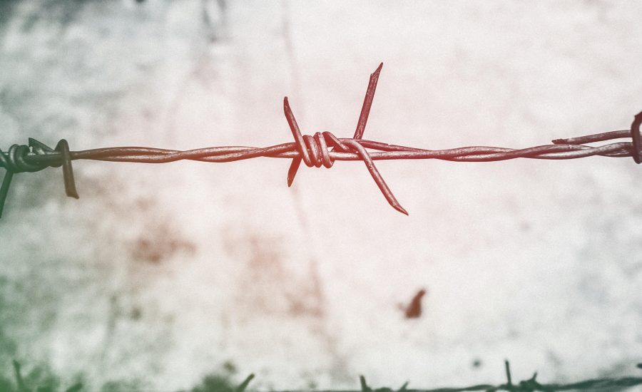 Strengthening AI Security with Network Segmentation