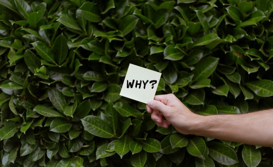 Why Common Sense Still Matters in a World Full of AI