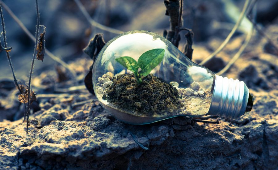 Why Smart Businesses Treat Cybersecurity as a Growth Strategy