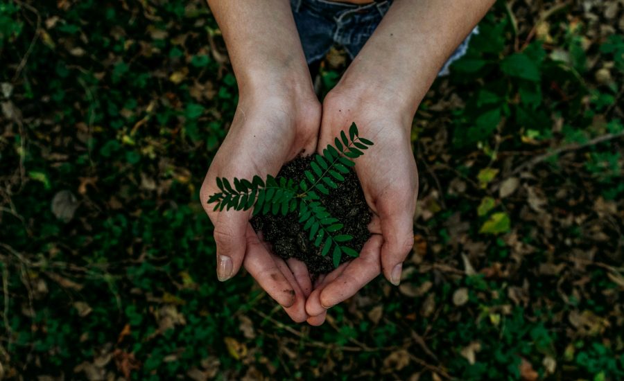 How Technology Supports a More Sustainable Business