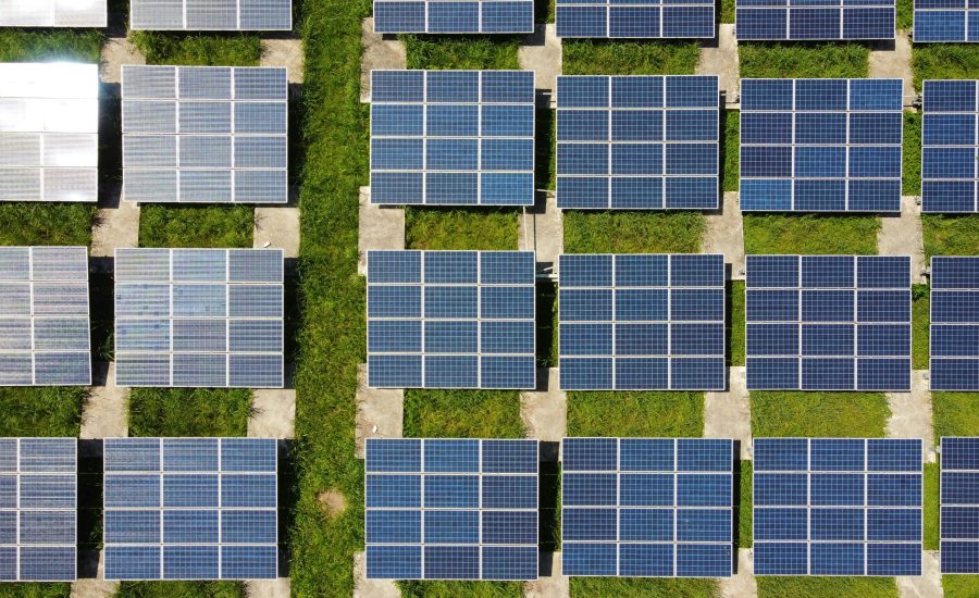 How Tech Innovation Is Reshaping Sustainable Business