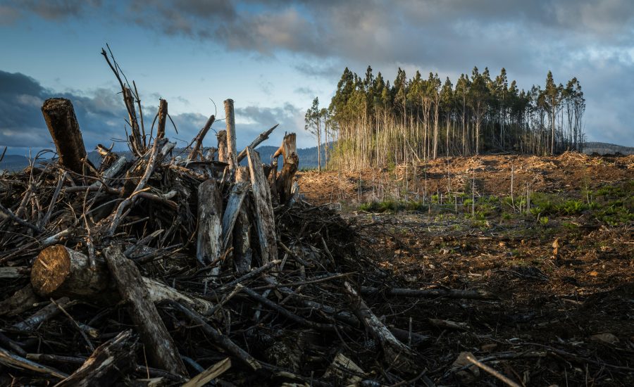 A Logging Tool Running Inside Every Major Cloud Platform Has Serious Security Flaws