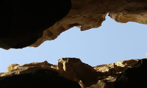 Technology Has Closed the Gap Between Small Businesses and Large Competitors, but Only for Those Who Use It Deliberately