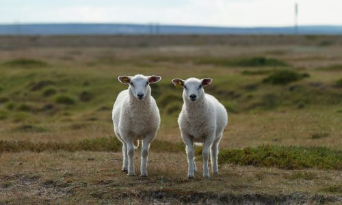 Digital Twins Have Moved Product Testing From Assumption-Based to Evidence-Based Decision-Making